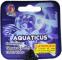 AQUATICUS - VACOR BRAZIL - BRAZIL 12X22mm (FACE)